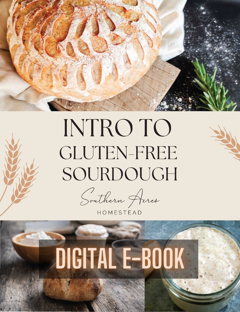 Cover of Introduction to Gluten-Free Sourdough