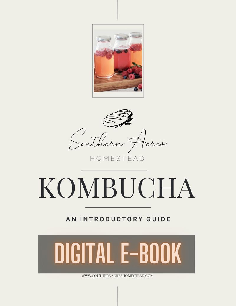 Cover of Kombucha: An Introductory Guide