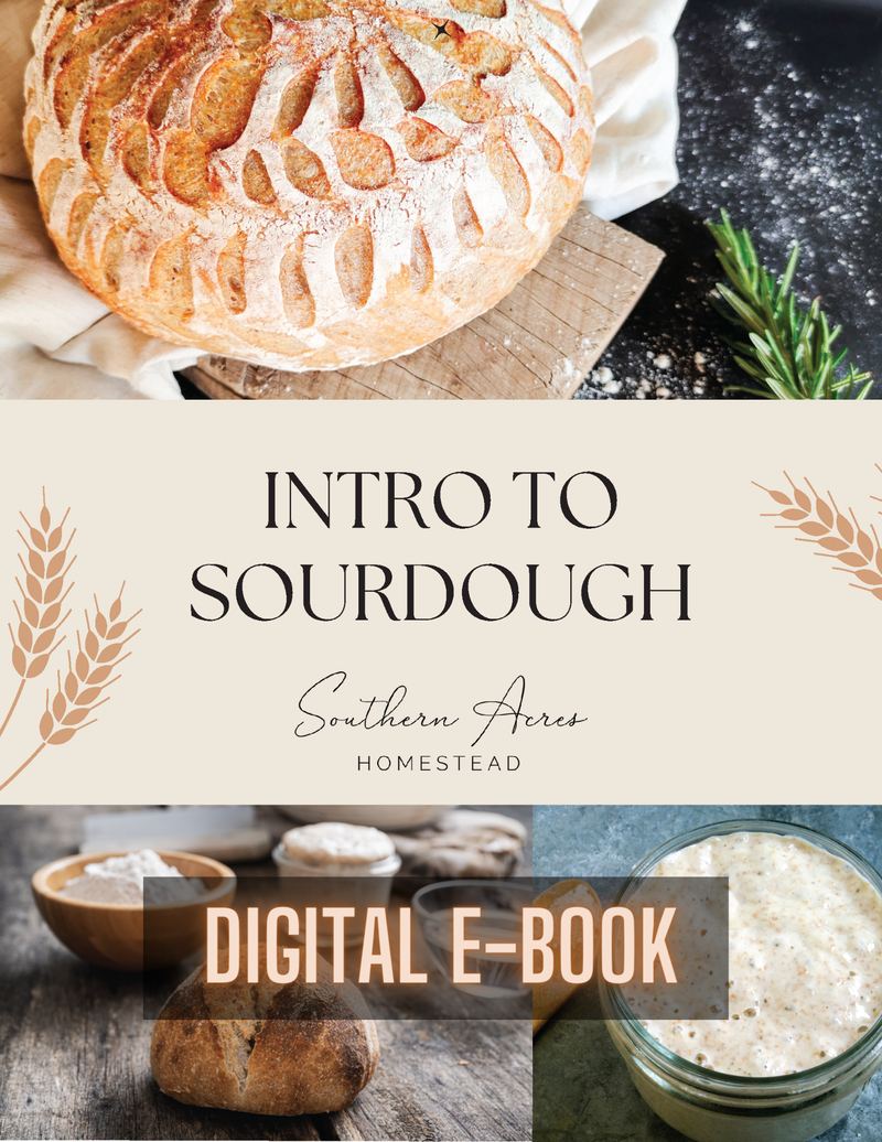 Cover of Intro to Sourdough, a wheat sourdough e-book